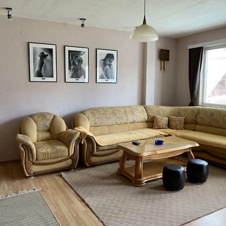 Apartmani Alo Alo Plav Esterno foto
