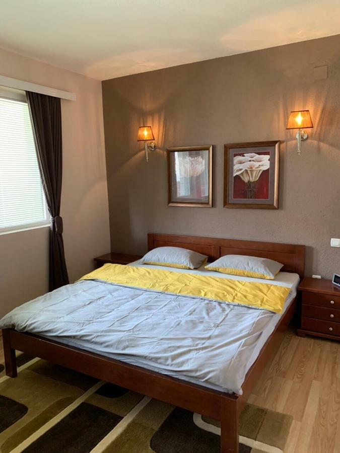 Apartmani Alo Alo Plav Esterno foto