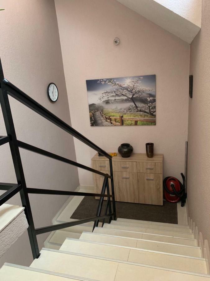 Apartmani Alo Alo Plav Esterno foto